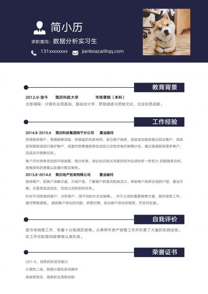数据分析实习生简历模板
