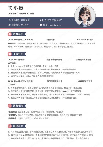 极简线条大数据工程师大数据开发员程序员简历